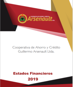 Estados Financieros 2019